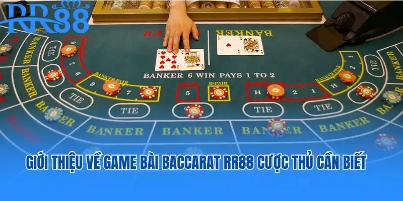 Giới thiệu sơ lược về game bài baccarat RR88 cược thủ cần biết