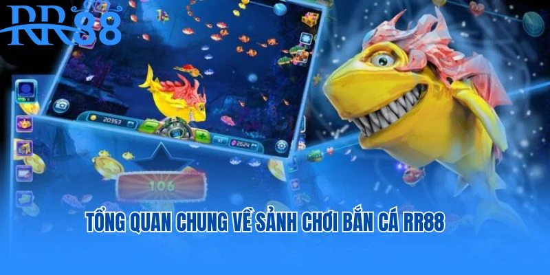 Tổng quan chung về sảnh chơi bắn cá RR88