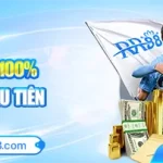 Bảo Hiểm Thể Thao – Đá Gà Mỗi Tuần Tại RR88