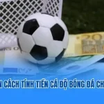 Cách tính tiền cá độ bóng đá