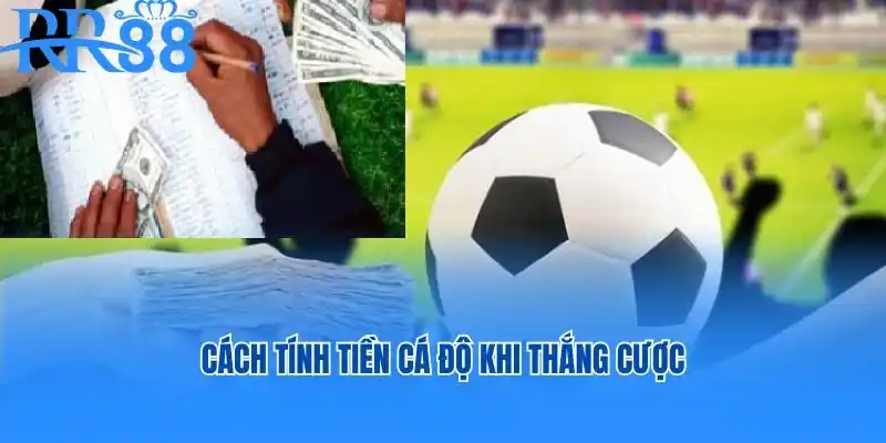 Cách tính tiền cá độ khi thắng cược
