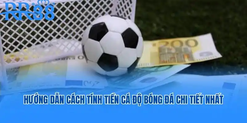 Cách tính tiền cá độ bóng đá
