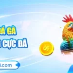 Cao Thủ Đá Gà – Thắng Liền Tay, Rinh Ngay Thưởng Nóng