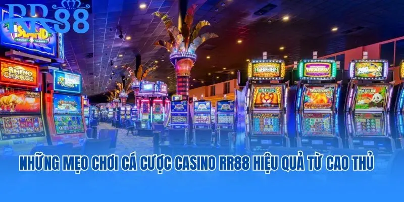Những mẹo chơi cá cược casino RR88 hiệu quả từ cao thủ
