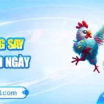 Cược Hăng Say – Thưởng Mỗi Ngày Tại RR88