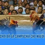 đá gà campuchia