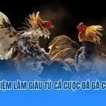 đá gà cựa dao