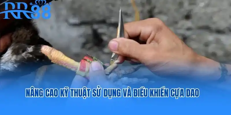 Nâng cao kỹ thuật sử dụng và điều khiển cựa dao để tăng phần thắng
