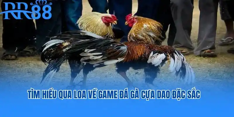 Tìm hiểu về game đá gà cựa dao đặc sắc tại RR88