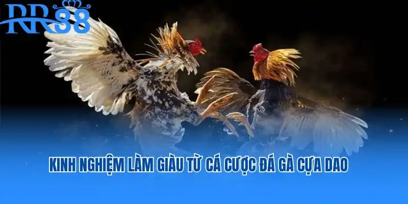 đá gà cựa dao