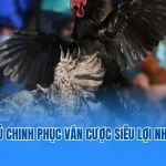 đá gà cựa sắt