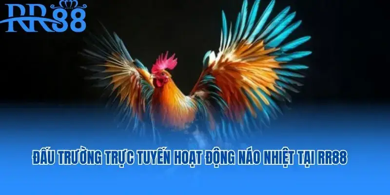 đá gà online rr88