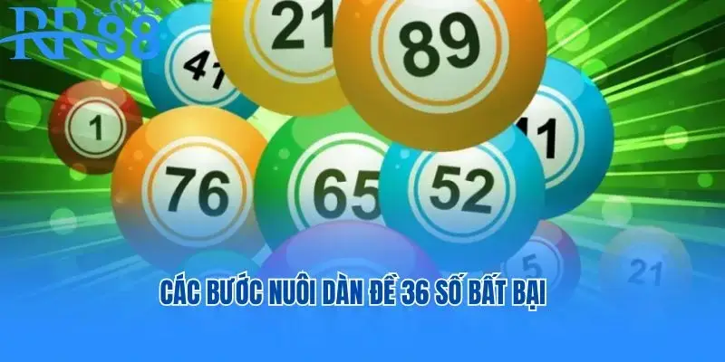 Các bước nuôi dàn đề 36 số bất bại