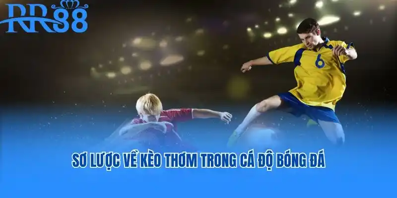 Sơ lược về kèo thơm trong cá độ bóng đá