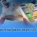 Làm đại lý cá độ bóng đá