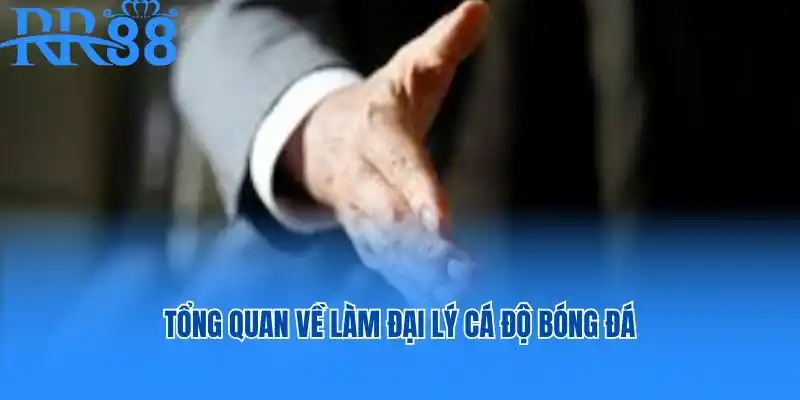 Tổng quan về làm đại lý cá độ bóng đá