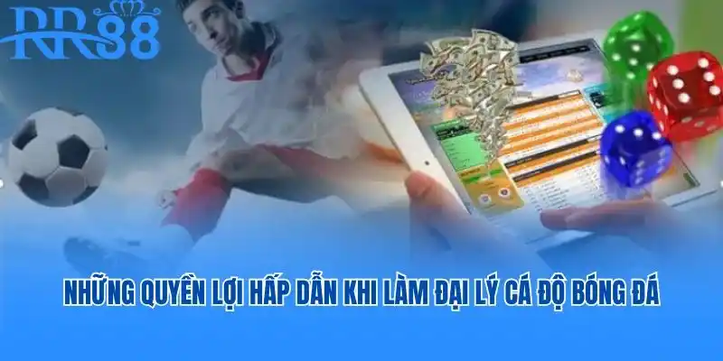 Làm đại lý cá độ bóng đá