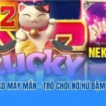 Neko may mắn