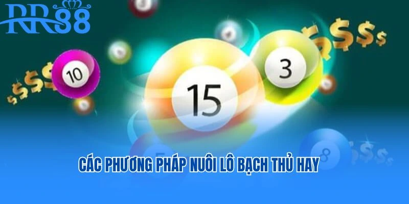 Các phương pháp nuôi lô bạch thủ hay
