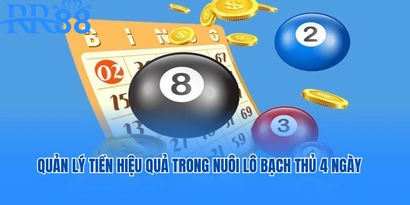Quản lý tiền hiệu quả trong nuôi lô bạch thủ 4 ngày