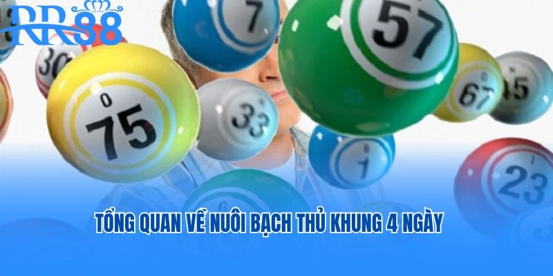 Tổng quan về nuôi bạch thủ khung 4 ngày