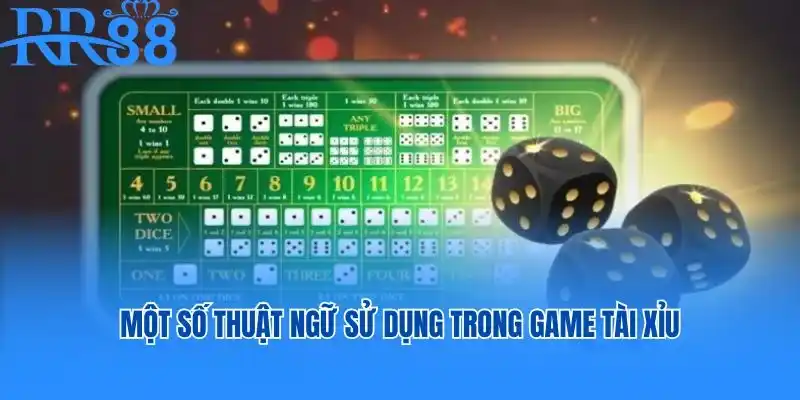 Một số thuật ngữ sử dụng trong game Tài Xỉu bet thủ cần nắm rõ