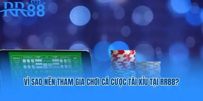 Vì sao nên tham gia chơi cá cược Tài Xỉu tại RR88?