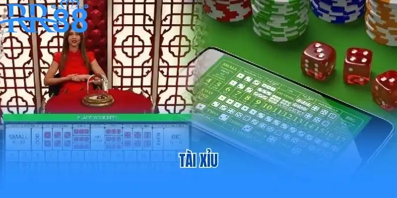 tài xỉu rr88