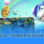 Thợ Săn Ngôi Sao rr88
