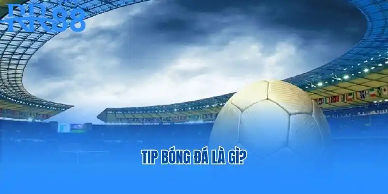 Tip bóng đá là gì?
