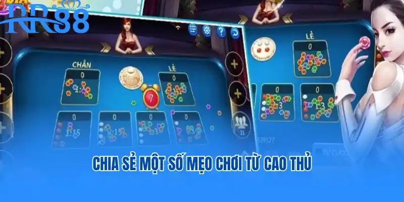 Chia sẻ một số mẹo chơi từ cao thủ giàu kinh nghiệm đến tân binh